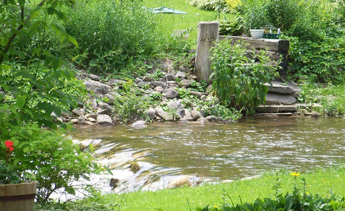 Flowing with Life