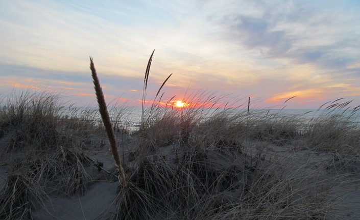 The beach