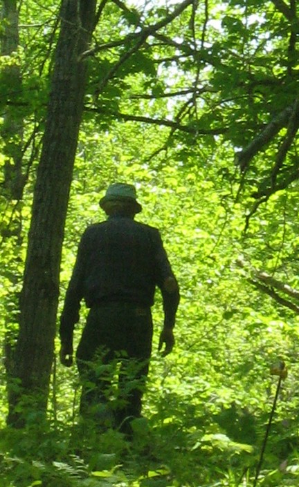 Walk in the Woods