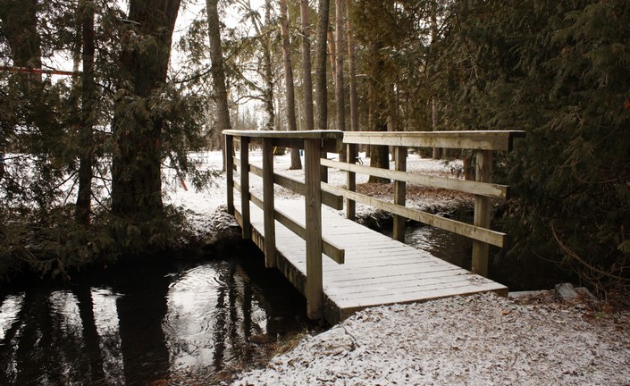 Hanover conservation area walk way