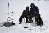 Father,Son and Dog Icefishing on Lake Simcoe