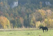 Bluffs on an Autumn Day