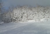 Winters Day