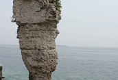 FLOWER POT ISLAND