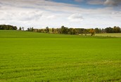 Medonte Farmland