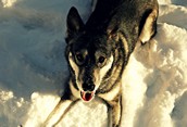 Winter Hiking