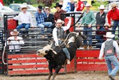 Yee Haa! Let's go to the Rodeo!