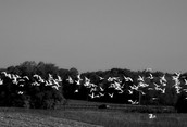 Take Off