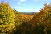 Scout's Valley