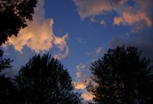 Night Sky