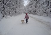 Winter Storm Day