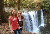 Hogg Falls
