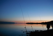 Fishing The Oxenden Shore