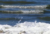 Water Diamonds