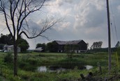 Barn in a peaceful setting