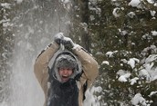 Winter Hiking in Allan Park Conservation Area