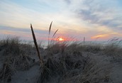 The beach