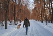 Walking our dog along the trails