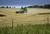 Harvest on Hwy # 89