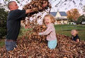 Fall Fun