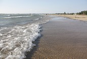 Sauble Beach 