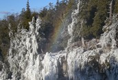 Inglis in winter