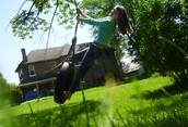 Tire Swing