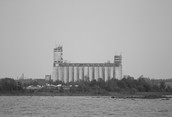 Grain Elevators 