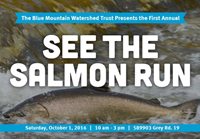 See the Salmon Run