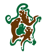 Turtlefest at Scales Nature Park