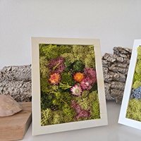 Moss Art & Lavender Views