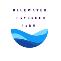 Wiarton Lavender Festival