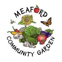 Field to Fork: Meaford's Garden Table