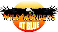 Wild Wonders at Blue