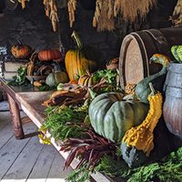 Hometown Harvest Festival