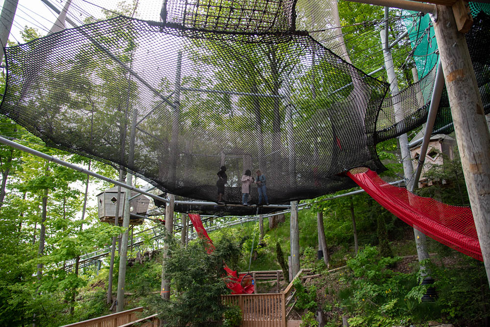 Canopy Tree Climb