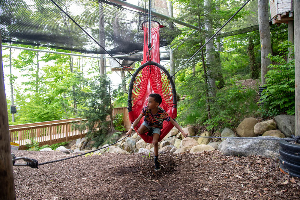 Boy on Canopy Tree Climb