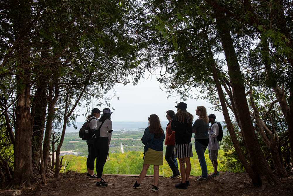 Group of people talking in trees