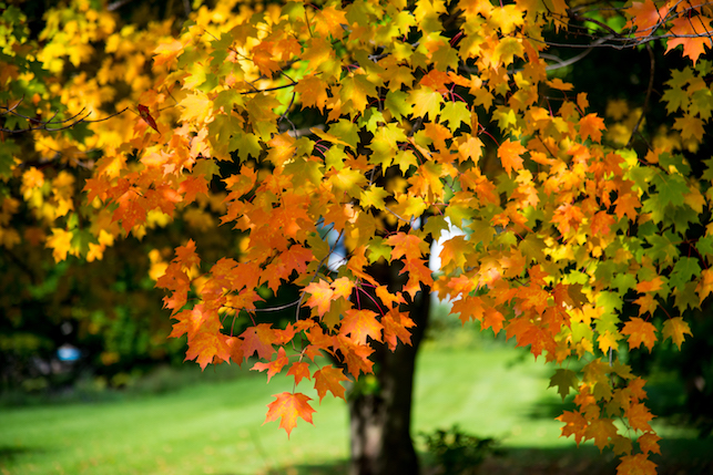 DSC_0571.jpg DSC_0571.jpg