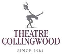 Theatre Collingwood Porchside Festival - The Aaron Solomon Show