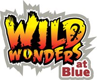 Wild Wonders at Blue