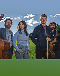 BruceGreySimcoe - Shane Cook & The Woodchippers